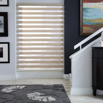 Allure Transitional Shades