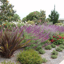 Yard/patio