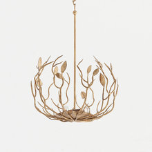 lighting/ceiling