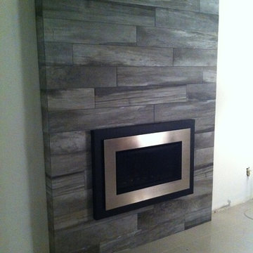 Fireplace Insert