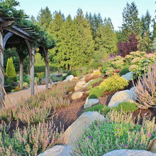 Landscape Ideas