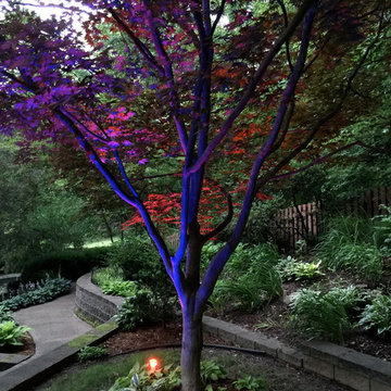 Colored LED lighting