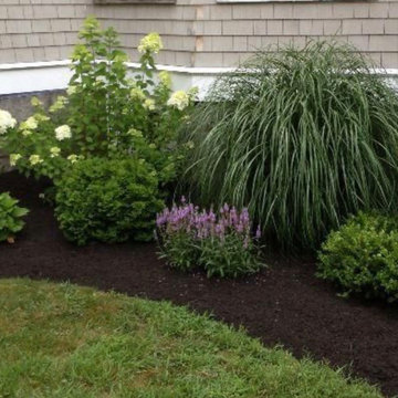 Flower beds