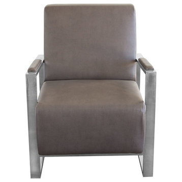 Century Accent Chair With Stainless Steel Frame, Elephant Gray