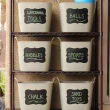 Organization
