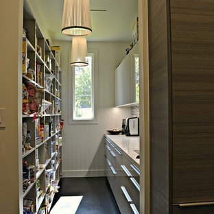 Muller Residence Butler's Pantry by Poggenpohl