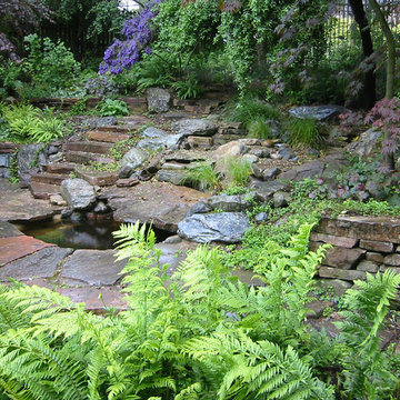 Woodland Garden, Kensignton CA