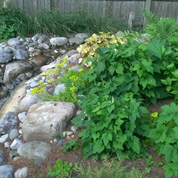 Rainwater Harvesting System & Planting