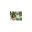 Thomas P. Tye Landscaping
