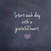 Robin Langer's photo