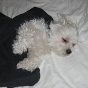 Phillip Snider's photo