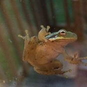 Sharon Crossley's photo