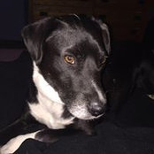 Sue Hampel's photo