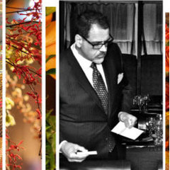 Wesley Cadle Interior Designs