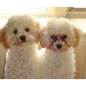 Connie Baver's photo