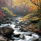 Darlene Noonan's photo