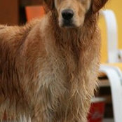 Lisa Szabo's photo