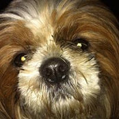 Beverly Dunbar's photo