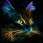 Loretta Corey's photo