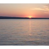 Ryan Fessenden's photo