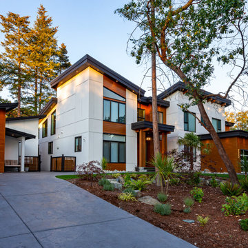 McColl Modern