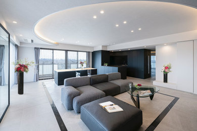 Design ideas for a modern living room.