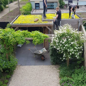Green Sedum roofs initiative