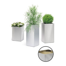 Planters Soho