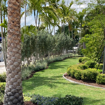 Landscape design backyard South Florida