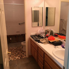 Bathroom Redo
