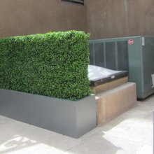 backyard/landscape