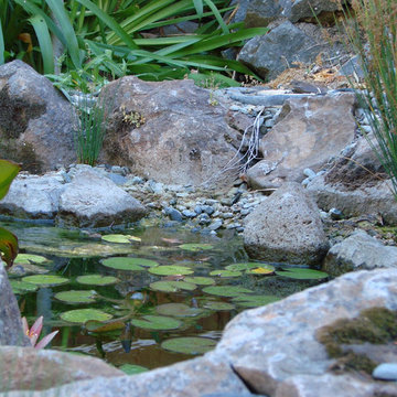 Waterfeatures, Fountains, Waterstorage Raingardens
