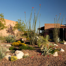 Tucson