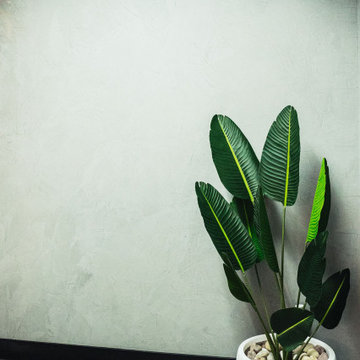 Explore Our Showroom