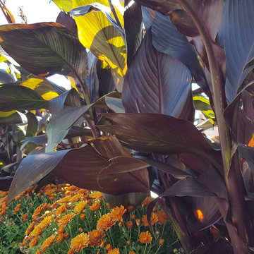 Fall Flower Installs
