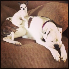 Best Friends