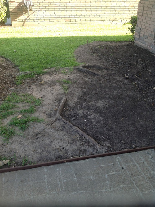 Need help with surface tree roots.