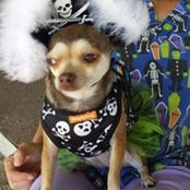 Donita Odom's photo