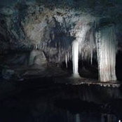 Miriam Walsh's photo