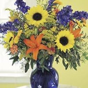 Beverly Davies's photo