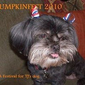 Michelle Silvestri-Oetinger's photo