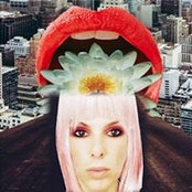 Ashley Antalさんの写真
