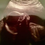 Amanda Scoggin's photo