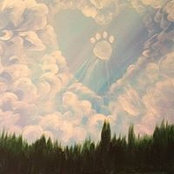 Michelle Paraspolo McCarthy's photo