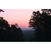 Holly Vanhaverbeke's photo