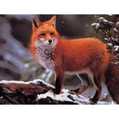 Florence Dupuis's photo