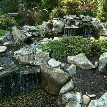 Using Moss Rock: