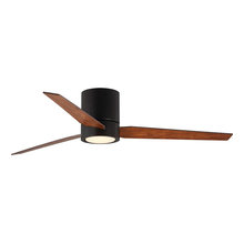 Ceiling Fans