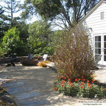 backyard projects