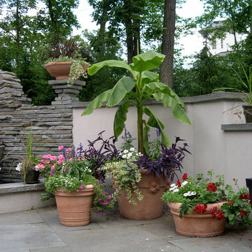 Fotos de jardines